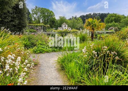 Terrazze e aiuole con vista sul mulino pin, Bodnant Gardens, Spring, (maggio), tal-y-Cafn, Conwy, Galles, Regno Unito Foto Stock