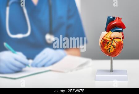 Modello anatomico del cuore umano sul tavolo medico in un ufficio di cardiologia. Sullo sfondo, un cardiologo che indossa un cappotto medico scrive una diagnosi a. Foto Stock