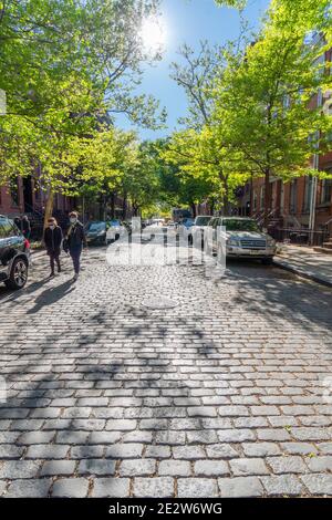 File di alberi verdi freschi circondano la strada in pietra In West Village Foto Stock