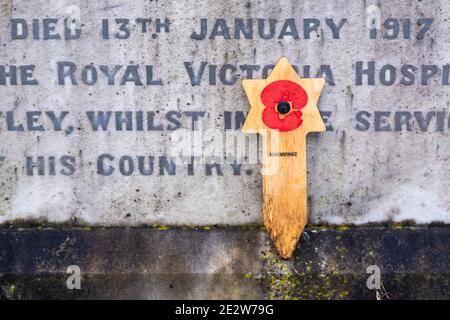 Una stella del papavero rosso di David che commemora un soldato ebreo che combatté durante la prima guerra mondiale nell'esercito britannico, il cimitero ebraico di Southampton Common, Inghilterra, Regno Unito Foto Stock