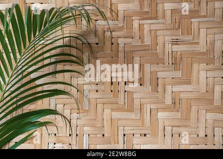 Tappeto a foglia di palmo con ramo di palmo verde. Immagine di sfondo Foto Stock