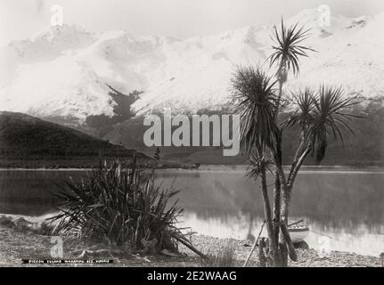 Fotografia d'epoca del XIX secolo: Nuova Zelanda - Pigeon Island, Wakatipu Foto Stock