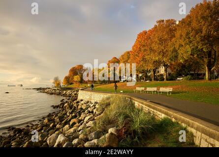 Stanley Park Seawall Path Autunno. Le foglie autunnali fiancheggiano il muro di mare di Stanley Park nel West End di Vancouver, Vancouver, Canada. Foto Stock