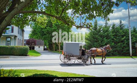 Un cavallo Amish e Buggy che viaggia lungo una strada di campagna In una bella giornata estiva Foto Stock