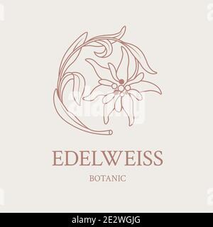 Disegno floreale del logo con un fiore disegnato a mano di Edelweiss Illustrazione Vettoriale