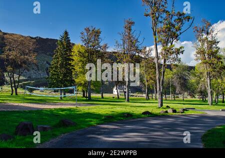 Splendida vista su alberi alti e rete da pallavolo nella parco verde Foto Stock