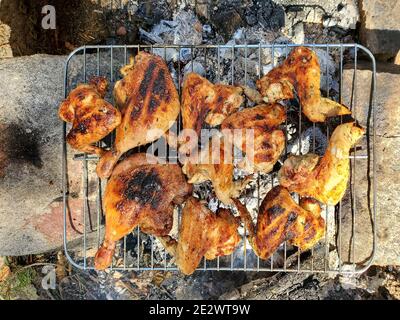 Picnic in campagna, attività ricreative all'aperto, carne di pollo pronta da mangiare sulla griglia sopra il fuoco Foto Stock