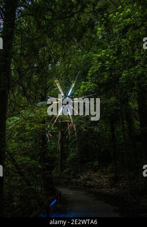 Fuochi d'artificio illuminazione al Festival of Lights, New Plymouth Foto Stock