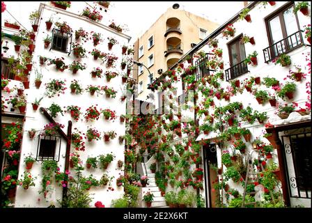 'Patio' raffigurato a Cordova, Spagna il 2009 maggio. Ogni mese di maggio a Cordova (Spagna), dal 1918, è possibile ammirare l'unico 'festival' di giardini e fiori chiamato 'Fiesta de los patios Cordobeses'. Ogni anno gareggia più di 50 giardini, o 'patios', per il primo posto e l'onore di essere riconosciuto il giardino più bello di Cordova. Quest'anno l'evento si svolgerà tra il 5 e il 16 maggio. Foto di Almagro/ABACAPRESS.COM Foto Stock