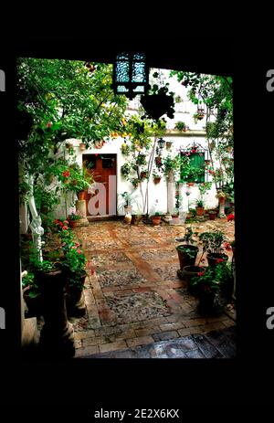 'Patio' raffigurato a Cordova, Spagna il 2009 maggio. Ogni mese di maggio a Cordova (Spagna), dal 1918, è possibile ammirare l'unico 'festival' di giardini e fiori chiamato 'Fiesta de los patios Cordobeses'. Ogni anno gareggia più di 50 giardini, o 'patios', per il primo posto e l'onore di essere riconosciuto il giardino più bello di Cordova. Quest'anno l'evento si svolgerà tra il 5 e il 16 maggio. Foto di Almagro/ABACAPRESS.COM Foto Stock