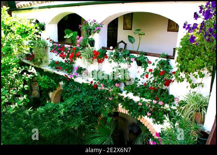 'Patio' raffigurato a Cordova, Spagna il 2009 maggio. Ogni mese di maggio a Cordova (Spagna), dal 1918, è possibile ammirare l'unico 'festival' di giardini e fiori chiamato 'Fiesta de los patios Cordobeses'. Ogni anno gareggia più di 50 giardini, o 'patios', per il primo posto e l'onore di essere riconosciuto il giardino più bello di Cordova. Quest'anno l'evento si svolgerà tra il 5 e il 16 maggio. Foto di Almagro/ABACAPRESS.COM Foto Stock