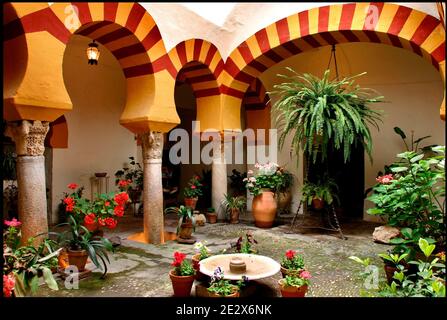 'Patio' raffigurato a Cordova, Spagna il 2009 maggio. Ogni mese di maggio a Cordova (Spagna), dal 1918, è possibile ammirare l'unico 'festival' di giardini e fiori chiamato 'Fiesta de los patios Cordobeses'. Ogni anno gareggia più di 50 giardini, o 'patios', per il primo posto e l'onore di essere riconosciuto il giardino più bello di Cordova. Quest'anno l'evento si svolgerà tra il 5 e il 16 maggio. Foto di Almagro/ABACAPRESS.COM Foto Stock