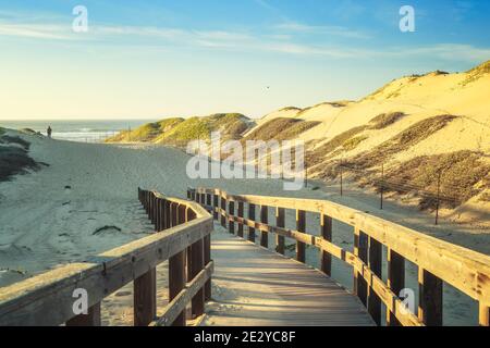 Accesso alla spiaggia. Passerella attraverso dune di sabbia e habitat naturali. Oceano, California Foto Stock