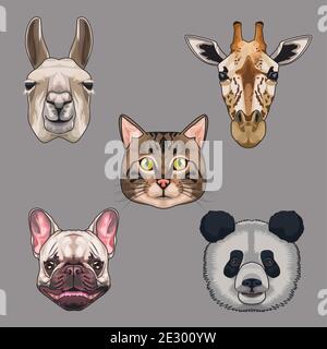 fascio di cinque animali domestici e vettore di icone wild set disegno dell'illustrazione Illustrazione Vettoriale