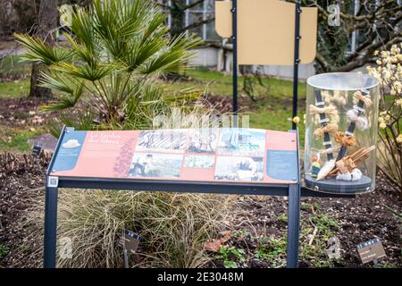 Mostra permanente "Giardini etnobotanici" con aiuole fiorite per scoprire i collegamenti che l'uomo ha oggi con il mondo delle piante, Geneve Foto Stock