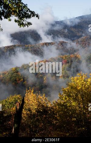 NC00190-00...CAROLINA DEL NORD - colore autunnale e nebbia crescente vista da Webb si affacciano lungo la nuova Gap Road nel Great Smoky Mountains National Park. Foto Stock