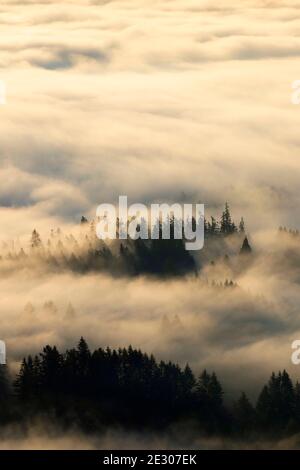 Nebbia di valle dalla cima del Monte Pisgah, Howard Buford County Park, Eugene, Oregon Foto Stock
