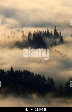 Nebbia di valle dalla cima del Monte Pisgah, Howard Buford County Park, Eugene, Oregon Foto Stock