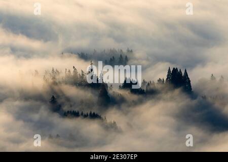 Nebbia di valle dalla cima del Monte Pisgah, Howard Buford County Park, Eugene, Oregon Foto Stock