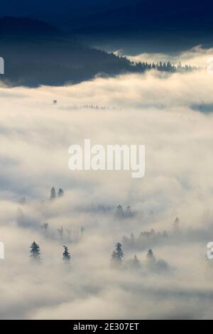 Nebbia di valle dalla cima del Monte Pisgah, Howard Buford County Park, Eugene, Oregon Foto Stock