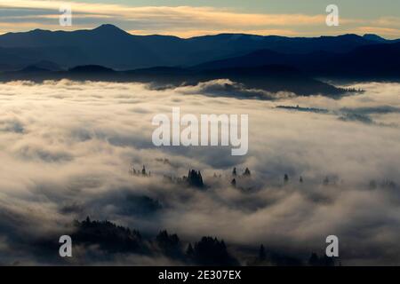 Nebbia di valle dalla cima del Monte Pisgah, Howard Buford County Park, Eugene, Oregon Foto Stock