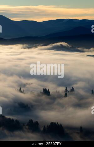 Nebbia di valle dalla cima del Monte Pisgah, Howard Buford County Park, Eugene, Oregon Foto Stock