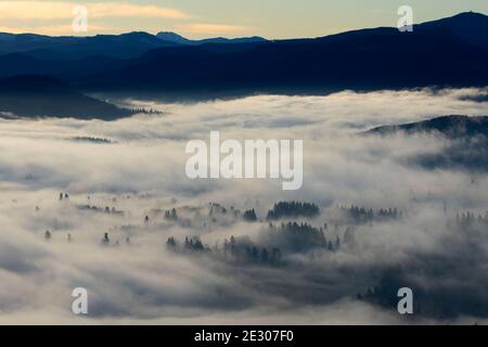 Nebbia di valle dalla cima del Monte Pisgah, Howard Buford County Park, Eugene, Oregon Foto Stock