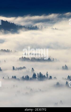 Nebbia di valle dalla cima del Monte Pisgah, Howard Buford County Park, Eugene, Oregon Foto Stock
