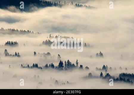 Nebbia di valle dalla cima del Monte Pisgah, Howard Buford County Park, Eugene, Oregon Foto Stock