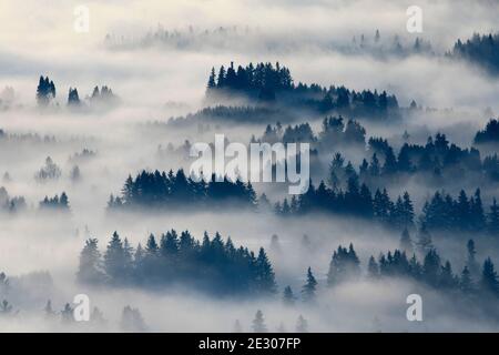 Nebbia di valle dalla cima del Monte Pisgah, Howard Buford County Park, Eugene, Oregon Foto Stock