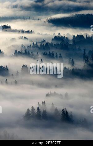 Nebbia di valle dalla cima del Monte Pisgah, Howard Buford County Park, Eugene, Oregon Foto Stock