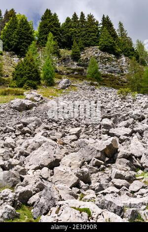 Paesaggio montano estivo. Particolare di una frana, mucchi di pietre sul versante montano e abeti. Tambre, Alpago, Belluno, Italia Foto Stock