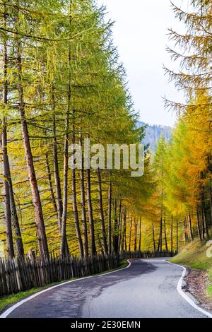 Vista della strada autunnale per Malga Zannes. Val di Funes, Alpi Dolomiti, Trentino Alto Adige, Italia. Foto Stock