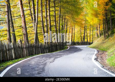 Vista della strada autunnale per Malga Zannes. Val di Funes, Alpi Dolomiti, Trentino Alto Adige, Italia. Foto Stock