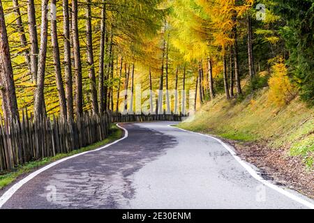 Vista della strada autunnale per Malga Zannes. Val di Funes, Alpi Dolomiti, Trentino Alto Adige, Italia. Foto Stock