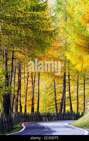 Vista della strada autunnale per Malga Zannes. Val di Funes, Alpi Dolomiti, Trentino Alto Adige, Italia. Foto Stock