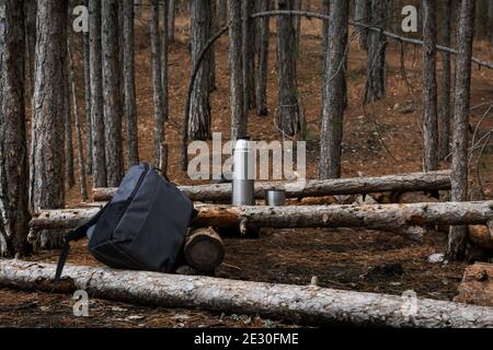 Zaino turistico, thermos con tè nella foresta. Escursione di un giorno in inverno tra le montagne e la pineta. Un posto per riposare su alberi caduti. Il concep Foto Stock