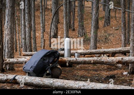 Zaino turistico, thermos con tè nella foresta. Escursione di un giorno in inverno tra le montagne e la pineta. Un posto per riposare su alberi caduti. Il concep Foto Stock