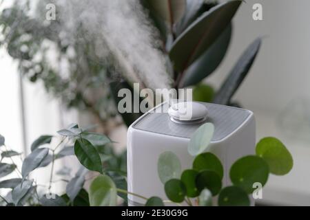 Il diffusore a ultrasuoni, il purificatore d'aria e l'umidificatore  rilasciano un flusso di vapore freddo per una corretta crescita delle piante  domestiche. Cura l'idratazione delle piante all'aria secca. Conf Foto stock  