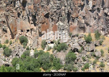 Rocce e alberi nella valle di Ihlara ad Aksaray, Turchia Foto Stock