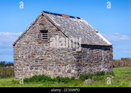 Stalla di pietra in un campo di pascolo estivo sull'isola di Caldey della costa di Tenby Pembrokeshire Galles del Sud, foto d'inventario Foto Stock