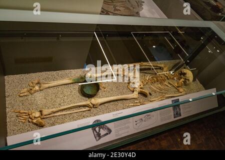 'The Ford Warrior', una sepoltura del primo medioevo (VII secolo d.C.), nel Salisbury Museum, Salisbury, Wiltshire, Regno Unito. Foto Stock