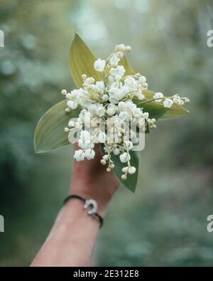Un mazzo di fiori di Lily of the Valley tenuto esteso in una mano Foto Stock