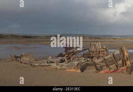 Donna Walker in piedi dai resti di un naufragio di legno Barca sulla spiaggia a basso Tide a Crow Point Di Braunton Burrows sulla costa in Devon Foto Stock