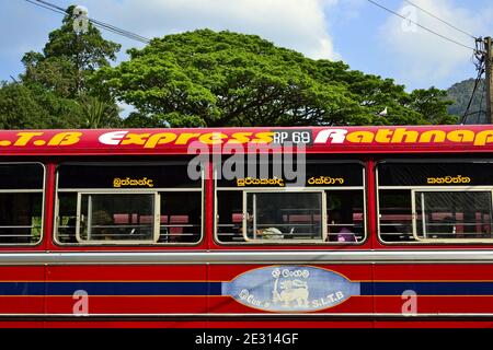 Sri Lanka - Marzo, 2017: Autobus rosso chiamato Rathnapura Express su una stazione degli autobus sullo sfondo di un albero verde luminoso e cielo blu. Ashok Leyland indiano Foto Stock