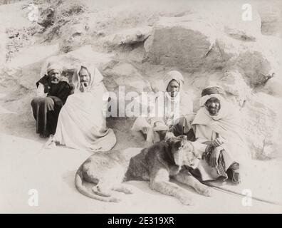 Fotografia d'epoca del 19° secolo: Zoppino leone al guinzaglio con collatore, con il titolo di 'il leone della marca' Algeria. Una marea è un leader religioso musulmano e insegnante in Africa occidentale, e nel Maghreb. Il marone è spesso uno studioso del Corano, o insegnante religioso. Foto Stock