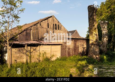 Un vecchio fienile invecchiato a Brabant, Paesi Bassi. Fattoria d'epoca in una zona rurale, circondata dal verde in una giornata di sole Foto Stock