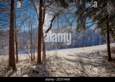 DE - BAVIERA: Scena invernale a Buchberg vicino a Bad Toelz Foto Stock