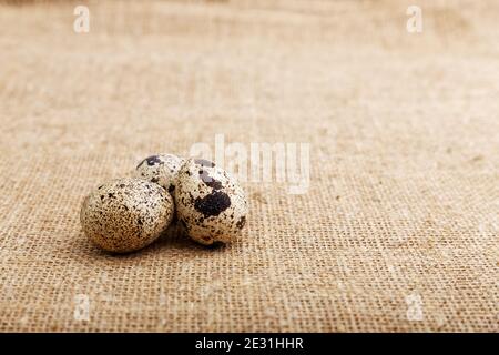 Tre piccole uova di quaglia macchiate su sackcloth rustico. Messa a fuoco superficiale. CopySpace. Foto Stock