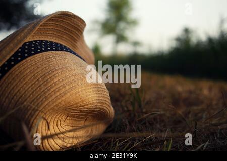 Cappello di paglia estivo con nastro blu e puntini sono posati a. erba secca del giardino Foto Stock